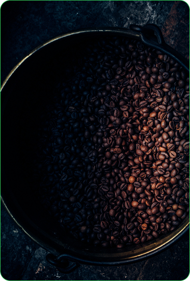 Arabica Coffee