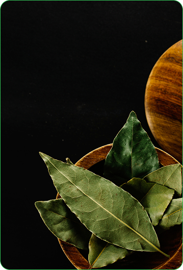 Guayusa Tea Energetic Beverage